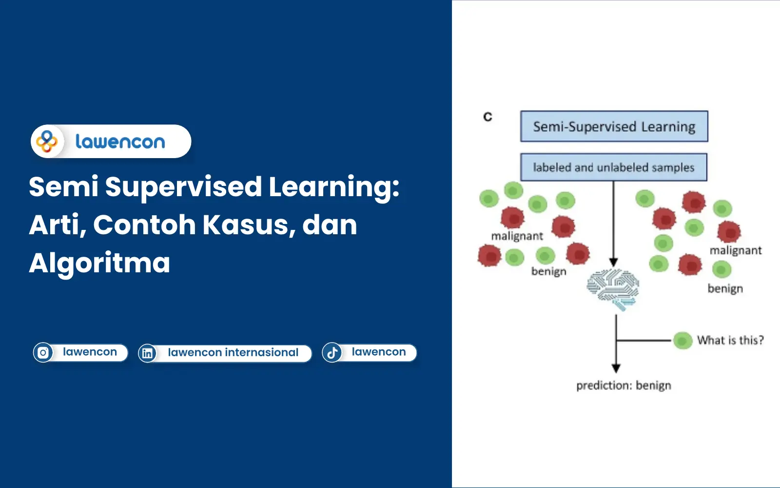 Arti Semi Supervised Learning, Contoh Kasus, dan Algoritma